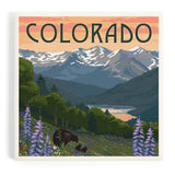 Ceramic Coaster Colorado Bear
