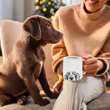 Coffee Then Walkie - 17oz Mug